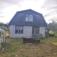 Сад в Балахне снт Дачный Самойловка