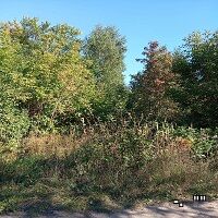 Купить земельный участок - М Могильцы