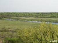 Дом в Городецком райцоне Дом в деревне Бакунино